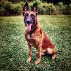 Meet your Posher, Dustin